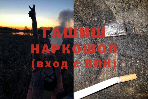 гашик Балахна