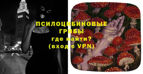 гашик Балахна