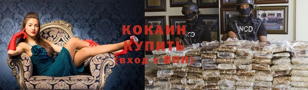 гашик Балахна