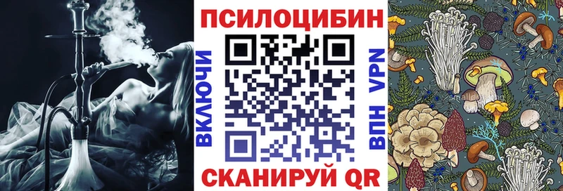 mega как зайти  Николаевск-на-Амуре  Галлюциногенные грибы Magic Shrooms 
